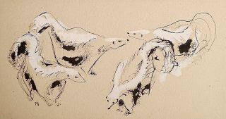 TOM HARDY Pen & Ink Painting w/ Gouache (4 Skunks) Northwest Oregon Art 3