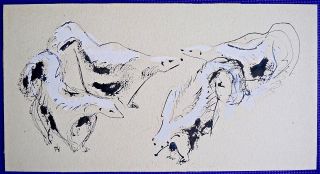 TOM HARDY Pen & Ink Painting w/ Gouache (4 Skunks) Northwest Oregon Art 4