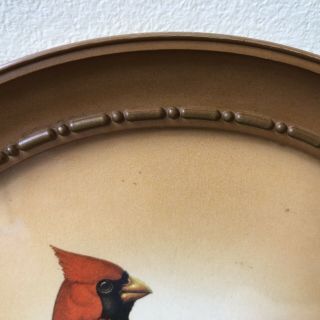 Vintage Cardinal On Mockorange Rudolf Freund 1940s Oval Frame Rare Dogwood 3