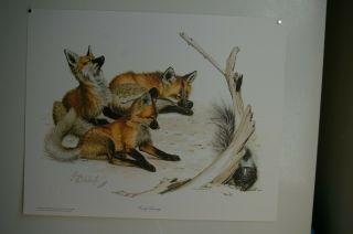 3 Vintage Animal Prints,  Foxes,  1970s Signed & Numbered,  Guy Coheleach,  Ray Harm