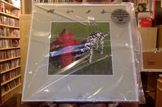Rush Signals Lp 200 Gm Vinyl Reissue