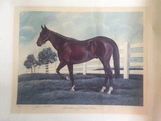 1967 John A Ruthven Bardstown Of Calmut Farm Race Horse Signed Numbered 262/2000