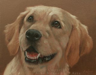Golden Retriever Dog Art Oil Painting By Uk Master Artist John Silver