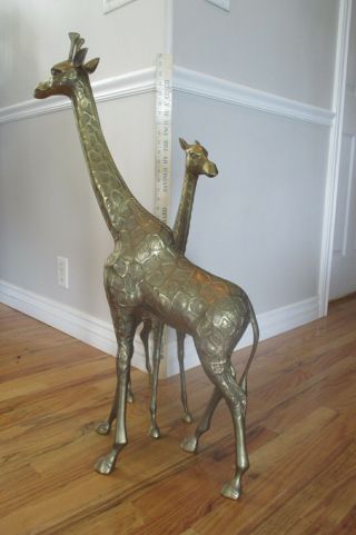 Solid Brass Giraffe Pair 34 " & 27 " Vtg Hollywood Regency African Safari Statues