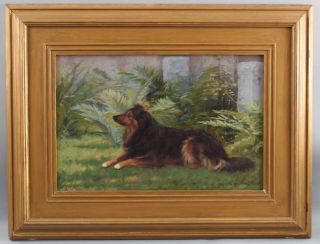 1893 Antique Elizabeth Strong American Border Collie Dog Portrait Oil Painting