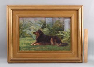 1893 Antique ELIZABETH STRONG American Border Collie Dog Portrait Oil Painting 2