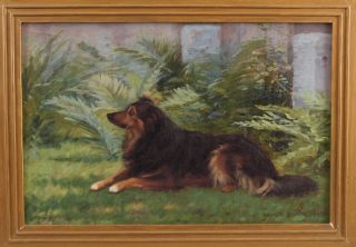 1893 Antique ELIZABETH STRONG American Border Collie Dog Portrait Oil Painting 3
