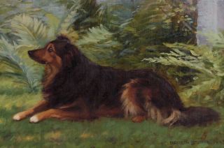1893 Antique ELIZABETH STRONG American Border Collie Dog Portrait Oil Painting 4