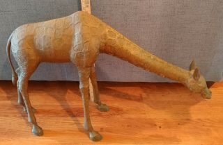 Vintage Mid Century Brass Grazing Giraffe Floor Statue 28 " Long Large