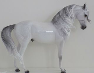 Peter Stone Horse - Prince Valiant - Light Grey Andalusian - 2016 Equilocity