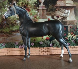 Peter Stone Stone Model Horse Gorgeous Dapple Grey Arabian Stallion