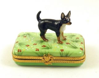 French Limoges Trinket Box Cute Chihuahua Dog Puppy On Grass With Flowers