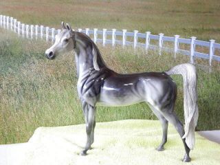 Peter Stone Arabian Horse - Glossy Dah Long Tail Dark Dappled Grey - Gorgeous