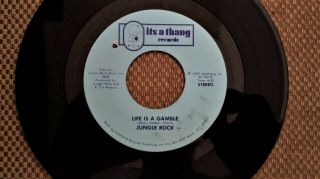 Jungle Rock: Life Is A Gamble Rare Sweet Soul 45 Vinyl Nm