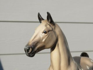 Hagen Renaker Roan Lady Grey Tennessee Walking Horse 5
