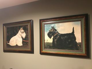 Vintage Paul Stagg Scottish Terrier Paintings (black & White Terriers)