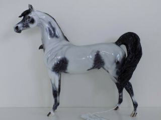 Peter Stone Horse - Steele Dynamic - Ooak - Blue Roan Appaloosa Arabian