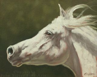 Horse Portrait Oil Painting By Award Winning Master Artist John Silver