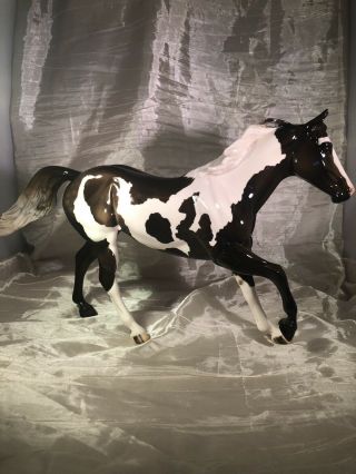 Peter Stone Foundation Quarter Horse Glossy Dark Bay Paint