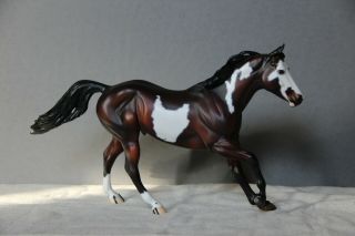 Peter Stone Foundation Quarter Horse - Fqh 2010 Dino Matte W/ Mapping