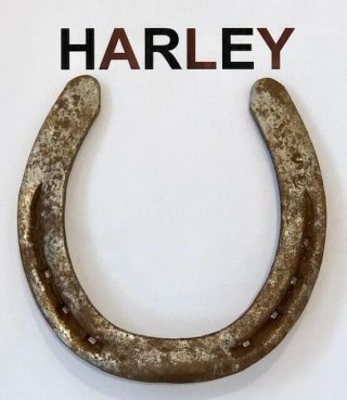 Harley - Famous Lead Pony - Horseshoe Worn At The Kentucky Derby & Kentucky Oaks