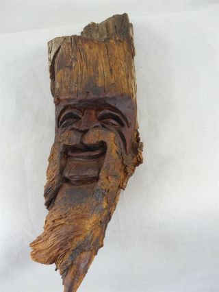Ooak Natural Hand Carved Folk Art Wood Spirit Tree Branch Man Face Pokey 89