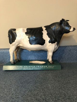 Vintage Displaymasters True Type Holstein Friesian Bull Cow Advertising Display