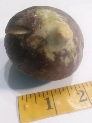 Early Antique Italian Alabaster Stone Fruit Marble Dark Fig With Slit Nm