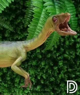 Dino Dream 1/1 Lifesize Compsognathus Dinosaur Statue