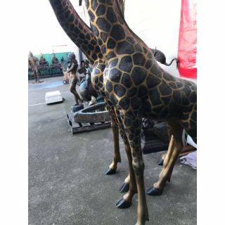 Large Multi - Patinated Bronze Giraffe Statues 11