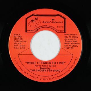 Modern Soul 45 - Chosen Few Band - What It Takes To Live - Br - Nm Mp3