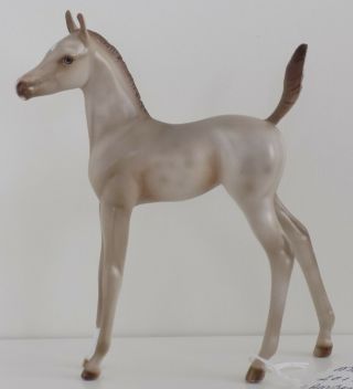 Peter Stone Horse - Molly - Dah 2017 - Amber Champagne Arabian Foal
