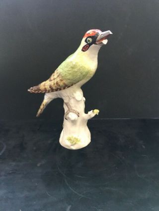 Meissen Woodpecker Bird Figurine Broken Beak And Leaves 10” X 10”