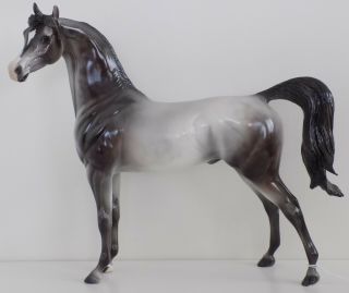 Peter Stone Horse - Dah 2014 - Blue Angel - Rose Grey Arabian