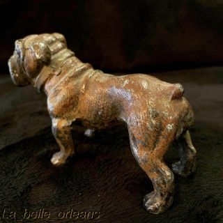 Fantastic Cast Metal Figurine Of A Boxer Dog.  Paint,  Grat Patina.