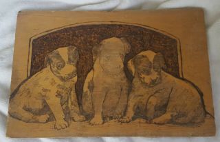 Vintage Folk Art Pyrography Picture Of 3 Cute Puppies - $0.  99 Opening Bid