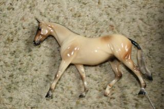 Peter Stone GLOSSY roan pony Snap Dragon SR of 250 by Laurie Jo Jensen 2001 2