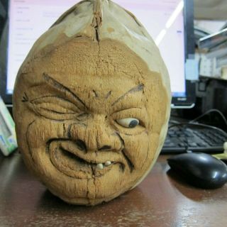 Rare Antique Folk Art Coconut Head Detailed Lifelike 100 Yrs Old,  Fat Face Man