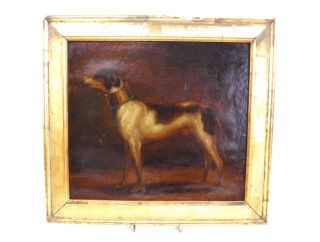 Antique 18th Century Oil On Canvas Board Portrait Of A Dog Greyhound Big Collar