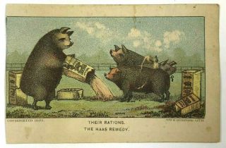 1882 Dr.  Haas Hog Poultry Remedy Anthropomorphic Pigs Rations Indianapolis In