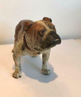 English Bulldog Bronze Cold Painted Dog Large 7 x 4 Antique Vienna Makers Mark 10