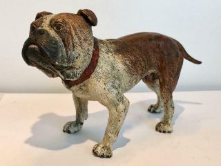 English Bulldog Bronze Cold Painted Dog Large 7 x 4 Antique Vienna Makers Mark 2