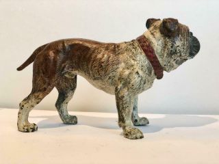 English Bulldog Bronze Cold Painted Dog Large 7 x 4 Antique Vienna Makers Mark 4