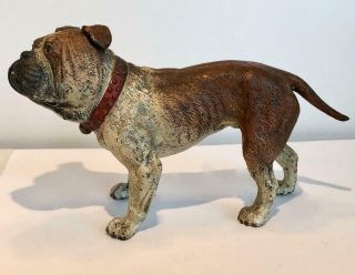 English Bulldog Bronze Cold Painted Dog Large 7 x 4 Antique Vienna Makers Mark 5