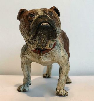 English Bulldog Bronze Cold Painted Dog Large 7 x 4 Antique Vienna Makers Mark 6