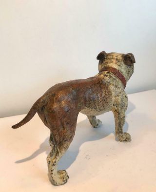 English Bulldog Bronze Cold Painted Dog Large 7 x 4 Antique Vienna Makers Mark 7