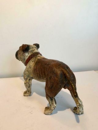 English Bulldog Bronze Cold Painted Dog Large 7 x 4 Antique Vienna Makers Mark 8