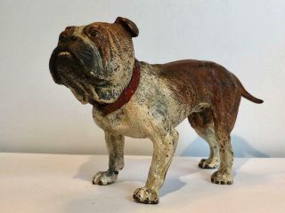 English Bulldog Bronze Cold Painted Dog Large 7 x 4 Antique Vienna Makers Mark 9