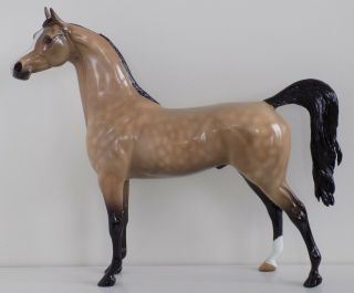 Peter Stone Horse - Helo - Ooak - Dappled Buckskin Arabian