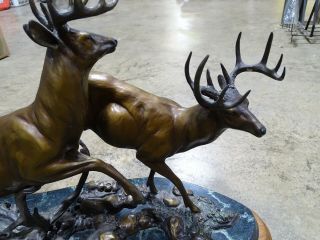 Vintage HUGE Solid Bronze Deer Buck Statue Dennis Jones 1988 2/20 Marble ORIGIN 3